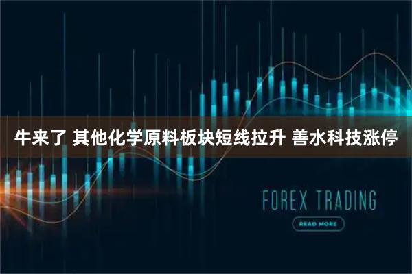 牛来了 其他化学原料板块短线拉升 善水科技涨停