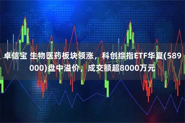 卓信宝 生物医药板块领涨，科创综指ETF华夏(589000)盘中溢价，成交额超8000万元