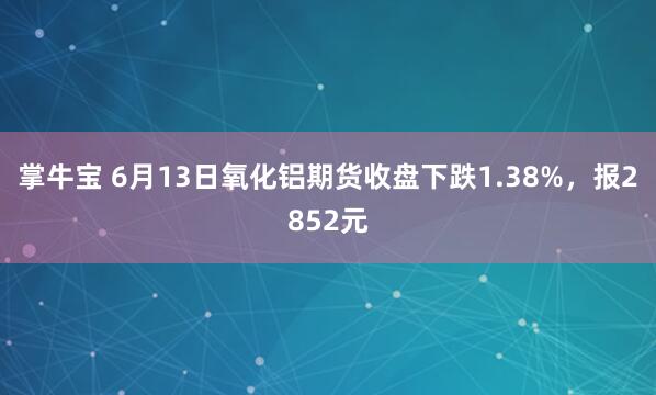 掌牛宝 6月13日氧化铝期货收盘下跌1.38%，报2852元