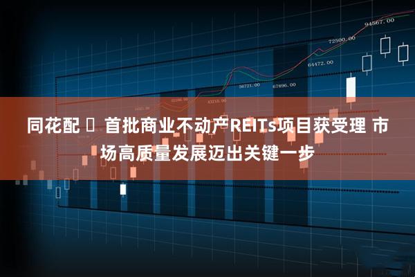 同花配 ​首批商业不动产REITs项目获受理 市场高质量发展迈出关键一步