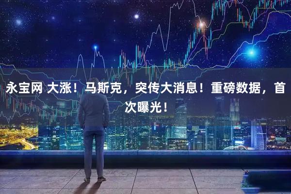永宝网 大涨！马斯克，突传大消息！重磅数据，首次曝光！