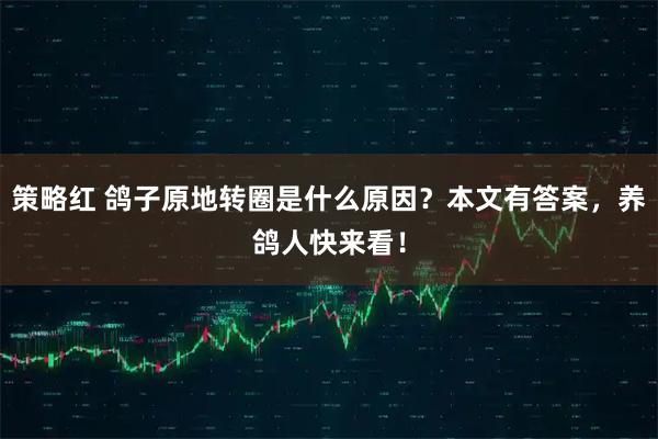 策略红 鸽子原地转圈是什么原因？本文有答案，养鸽人快来看！